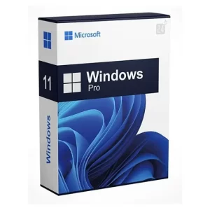Windows-11-PRO